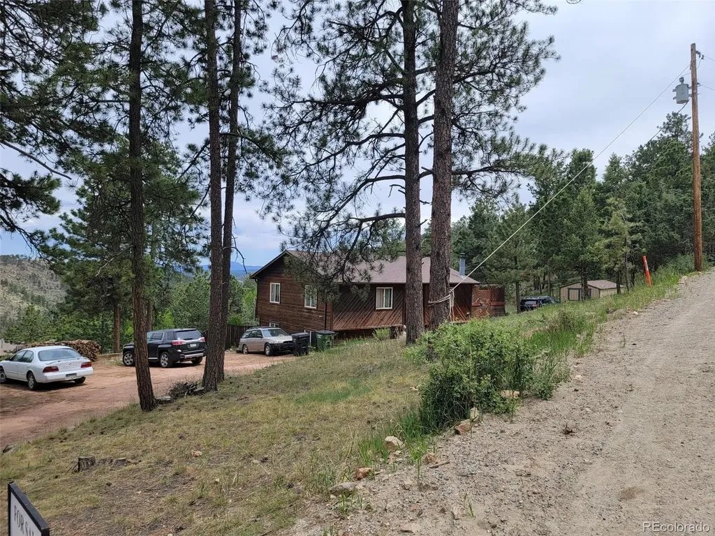 362 Raven Drive Bailey CO 80421
