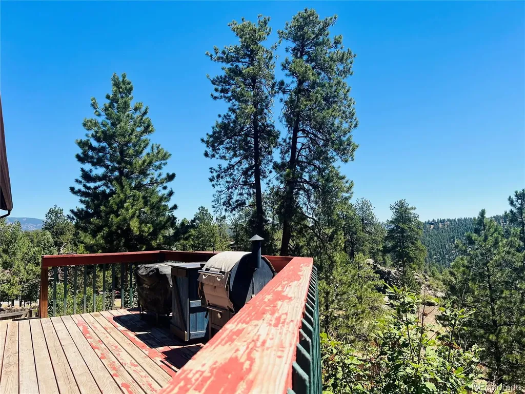 362 Raven Drive Bailey CO 80421