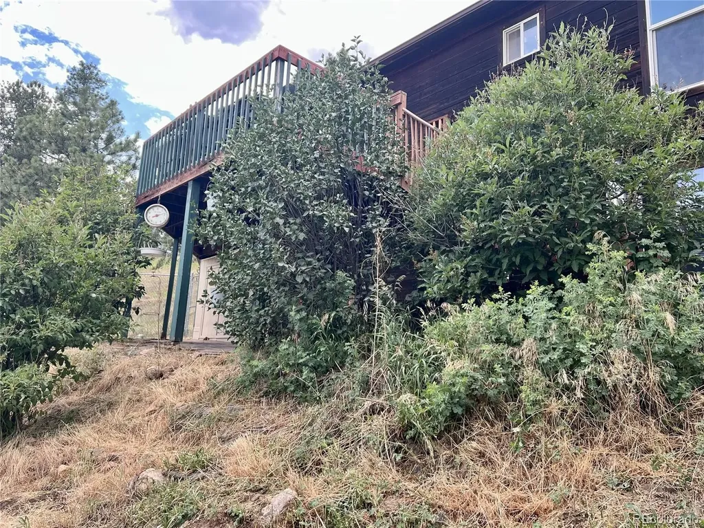362 Raven Drive Bailey CO 80421