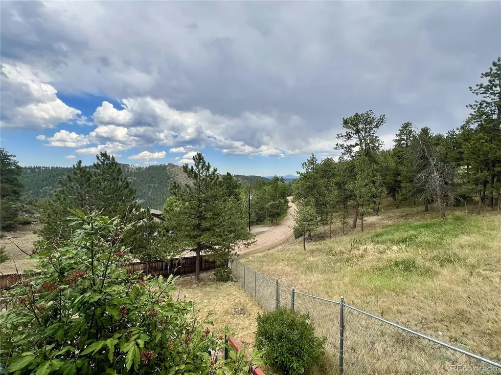 362 Raven Drive Bailey CO 80421