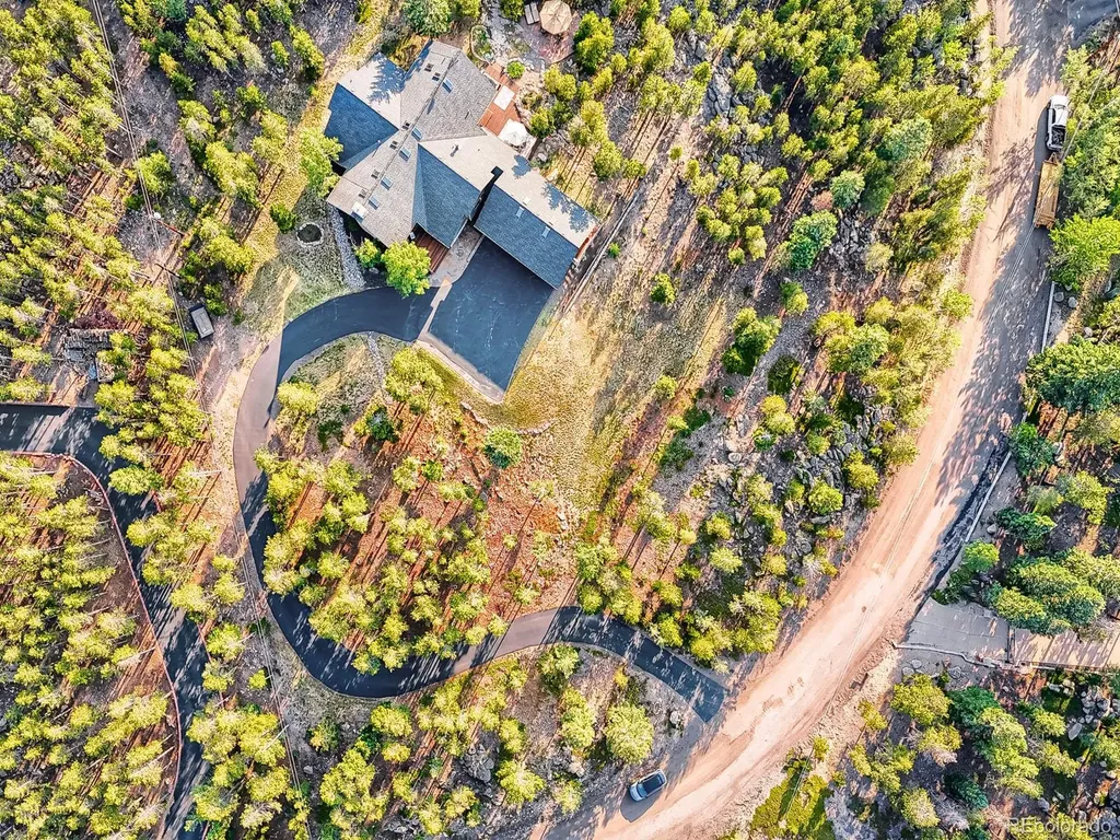 32142 Black Widow Drive Conifer CO 80433