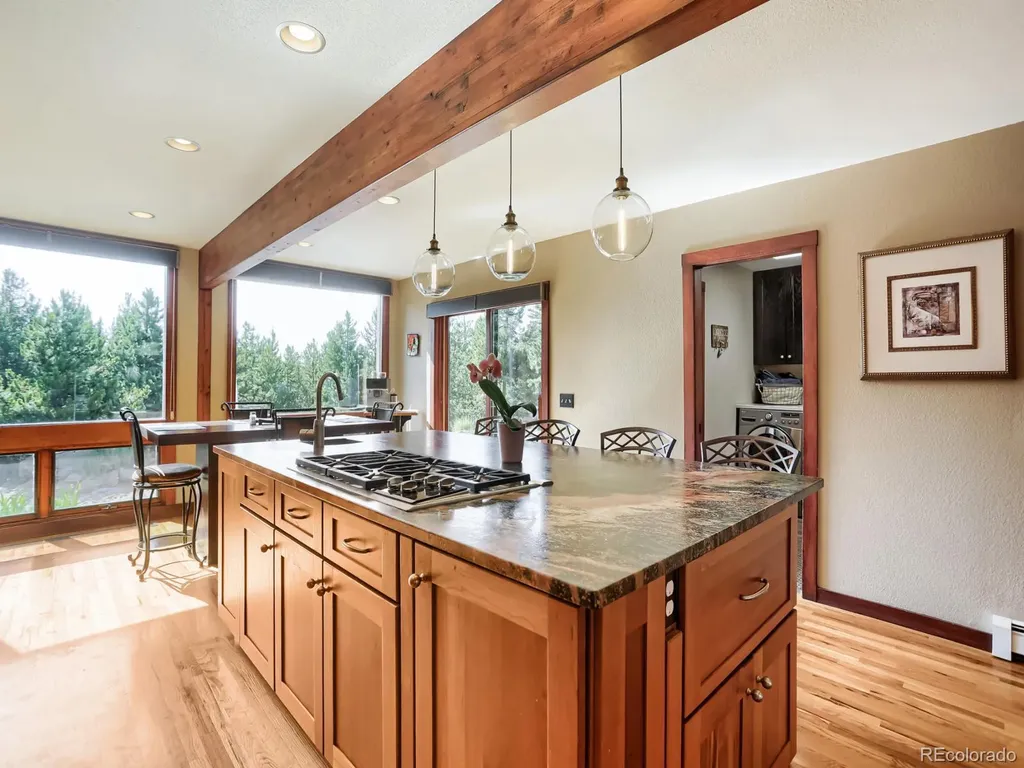 32142 Black Widow Drive Conifer CO 80433