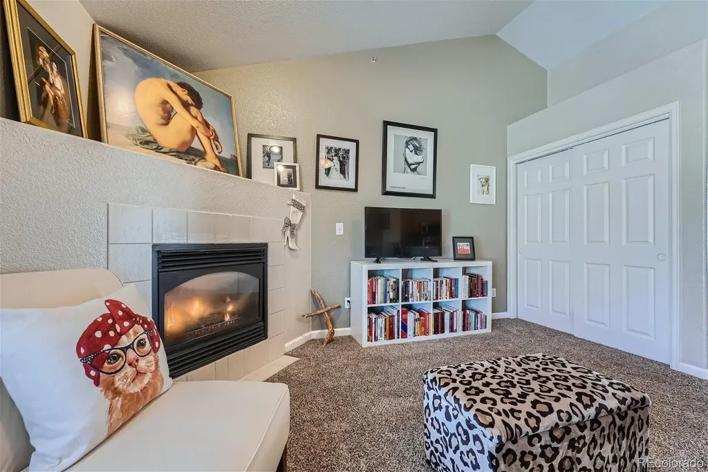 18084 Becket Drive Parker CO 80134