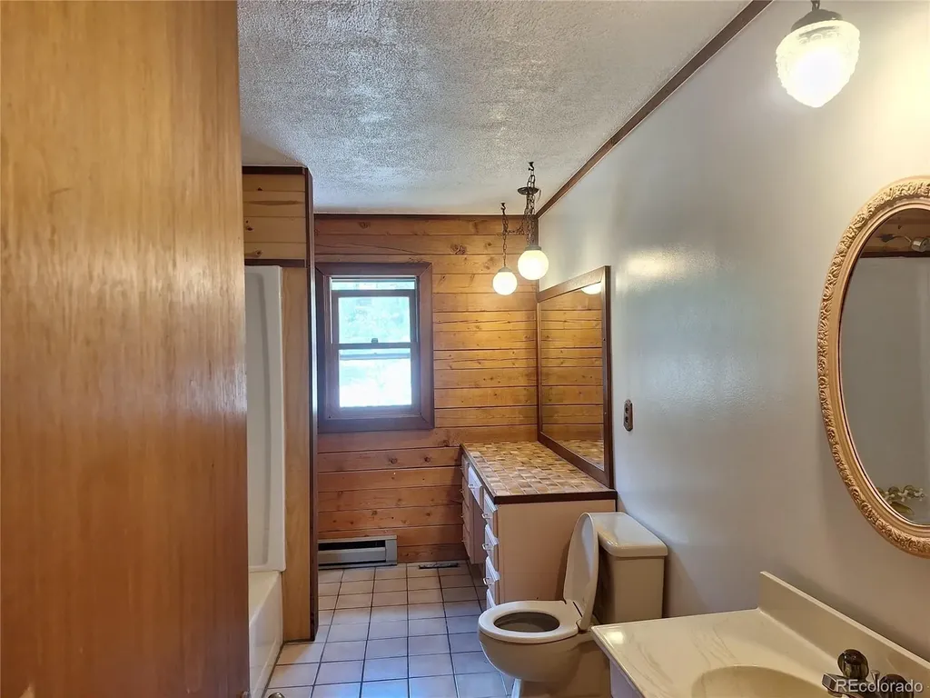 914 S Dory Lakes Drive Black Hawk CO 80422