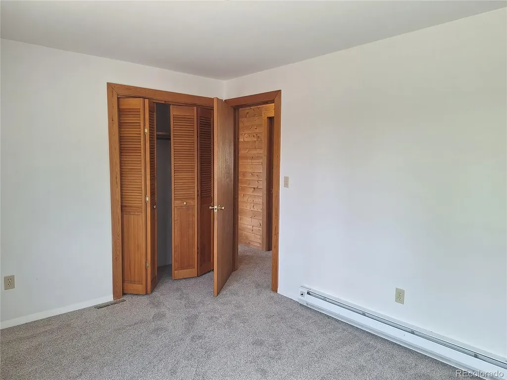 914 S Dory Lakes Drive Black Hawk CO 80422
