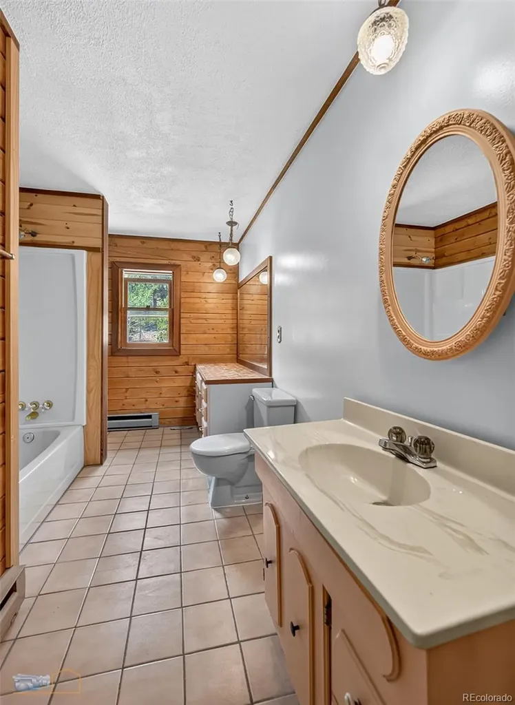 914 S Dory Lakes Drive Black Hawk CO 80422