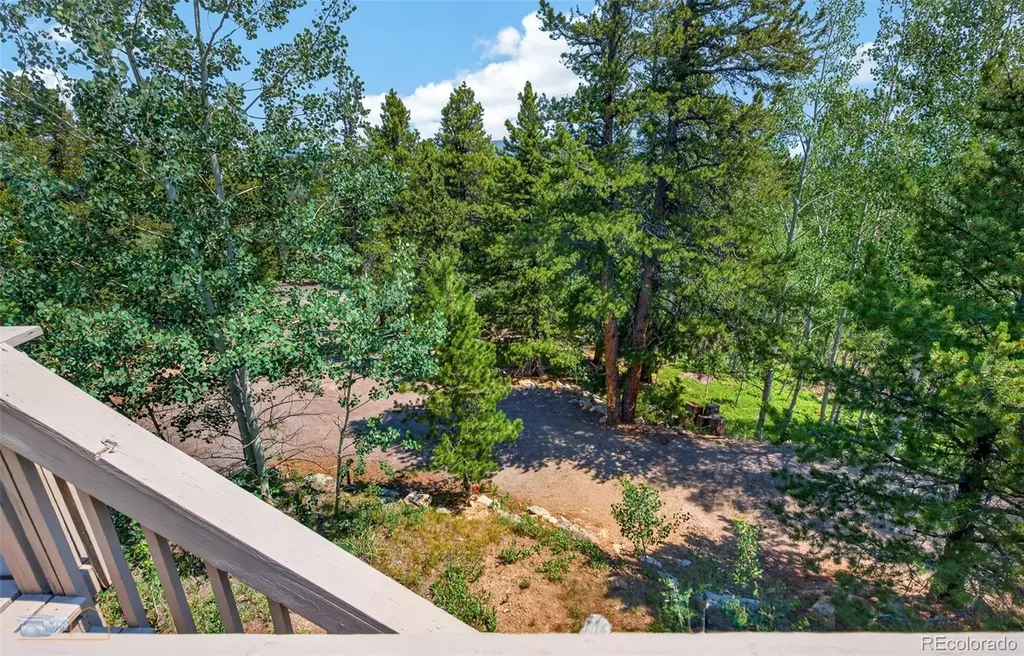 914 S Dory Lakes Drive Black Hawk CO 80422