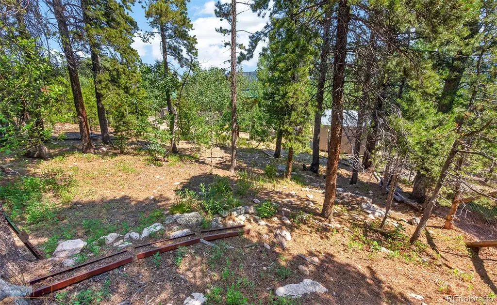914 S Dory Lakes Drive Black Hawk CO 80422