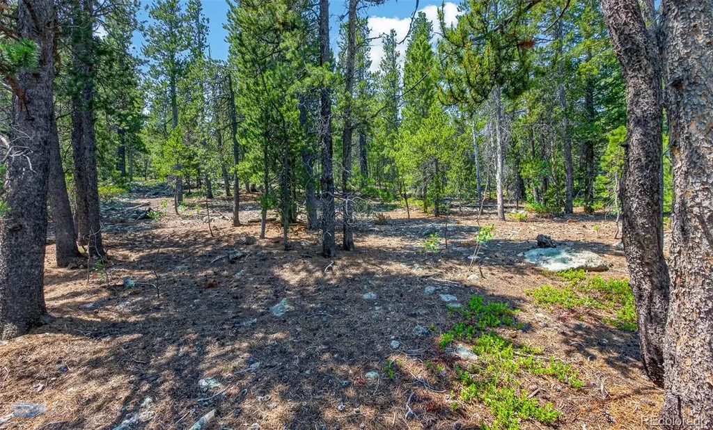 914 S Dory Lakes Drive Black Hawk CO 80422