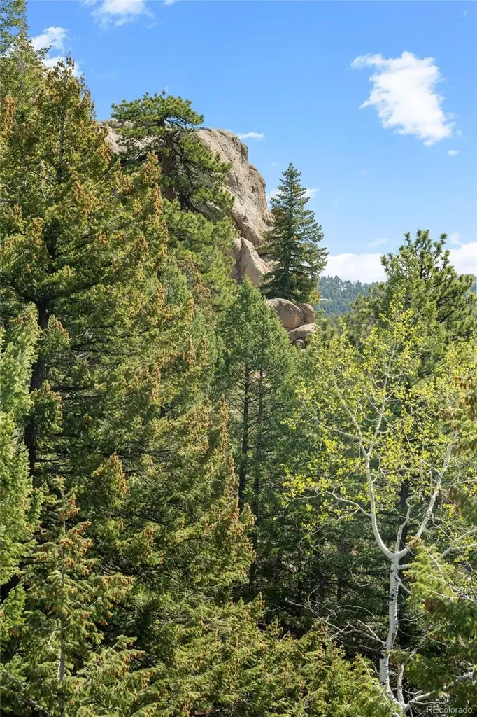 6361 Canyon Creek Road Evergreen CO 80439