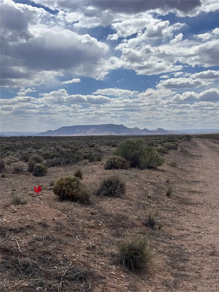 Lot 8 Don Road San Luis CO 81152