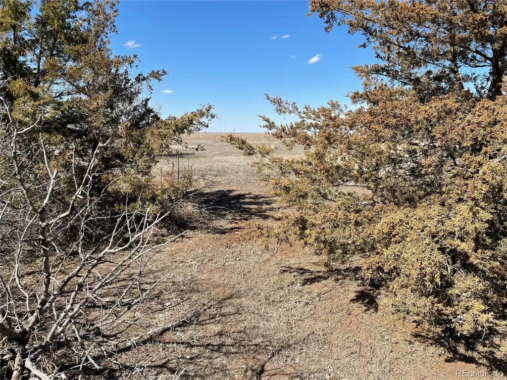 117 Lincoln Avenue Arriba CO 80804