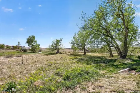 10310 Tall Oaks Circle Parker CO 80134