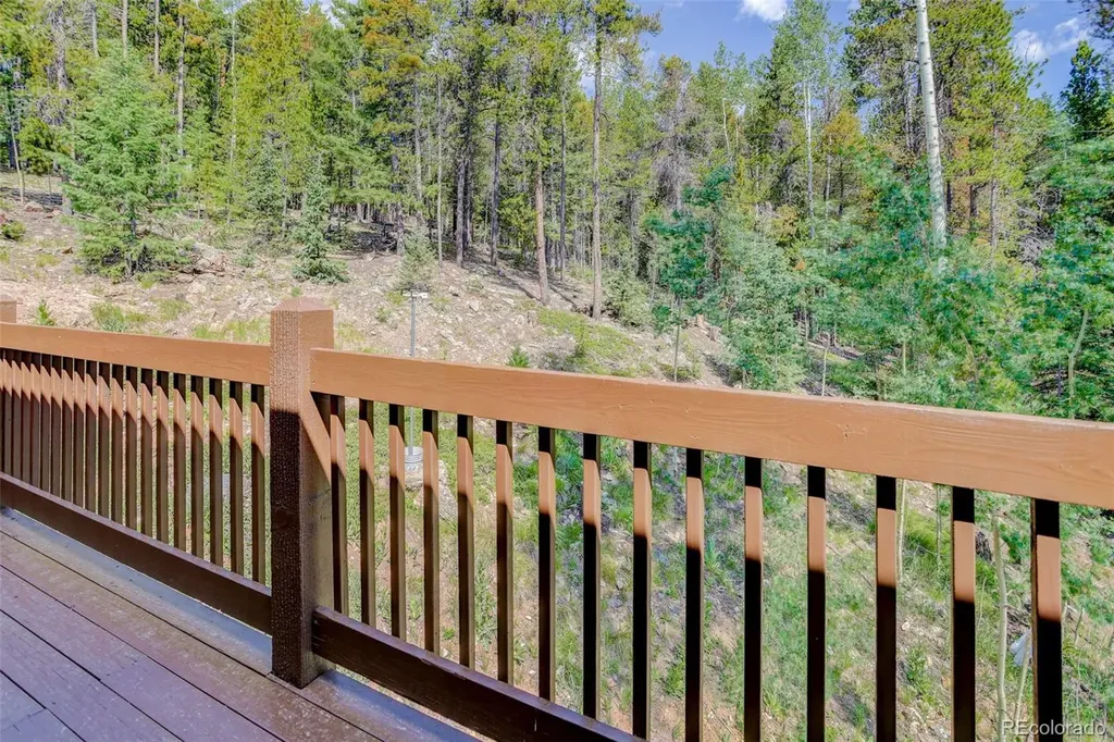 11549 Nichols Way Conifer CO 80433