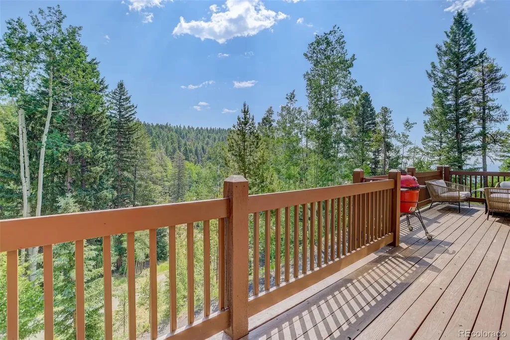 11549 Nichols Way Conifer CO 80433