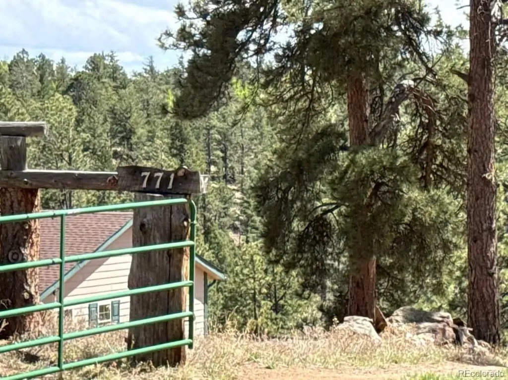 771 Moffat Drive Cripple Creek CO 80813