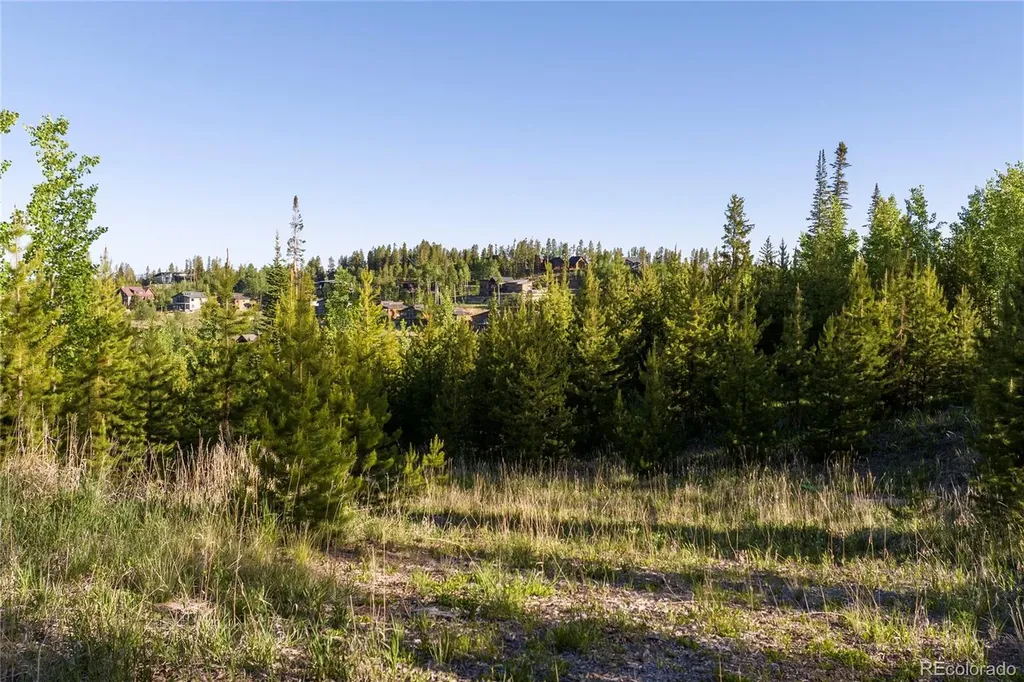 1414 Pioneer Trail Fraser CO 80442