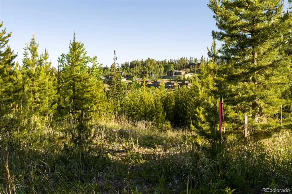 1414 Pioneer Trail Fraser CO 80442