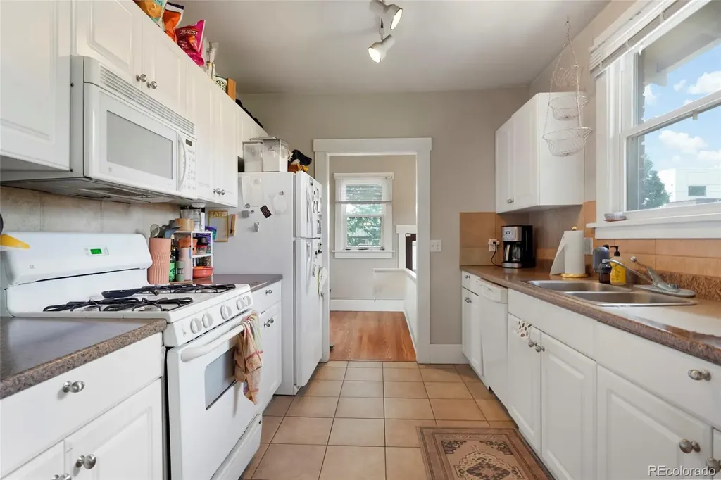 303 & 307 S Gilpin Street Denver CO 80209