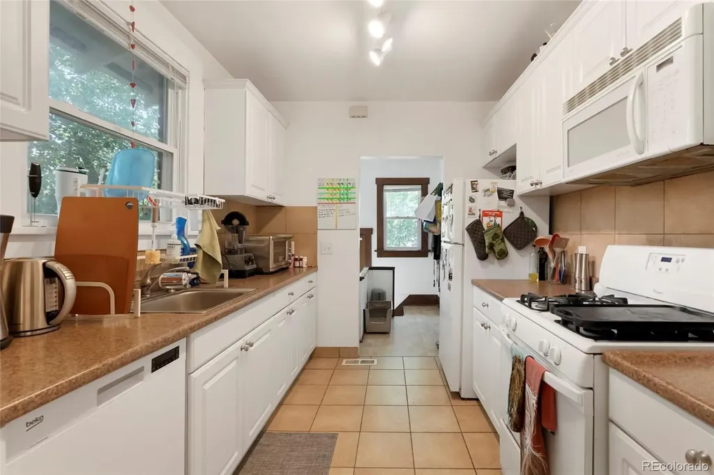 303 & 307 S Gilpin Street Denver CO 80209