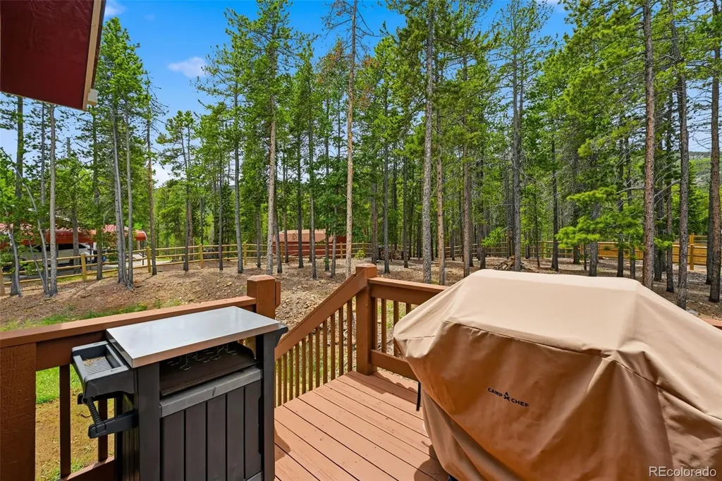 9299 Black Mountain Drive Conifer CO 80433