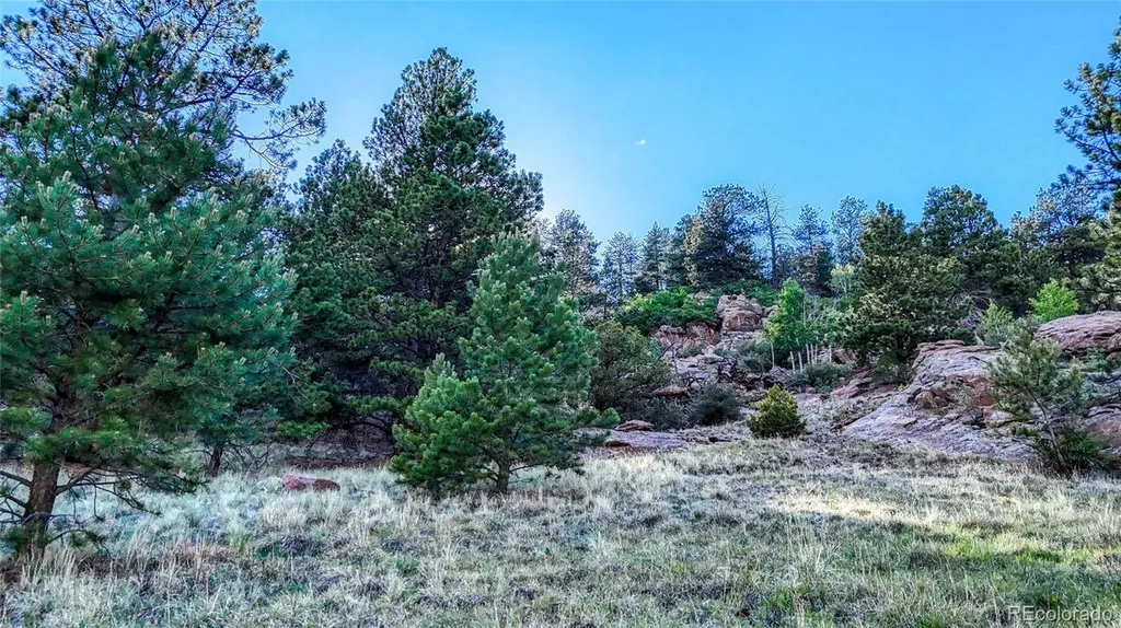 83 Penrose Circle Cripple Creek CO 80813