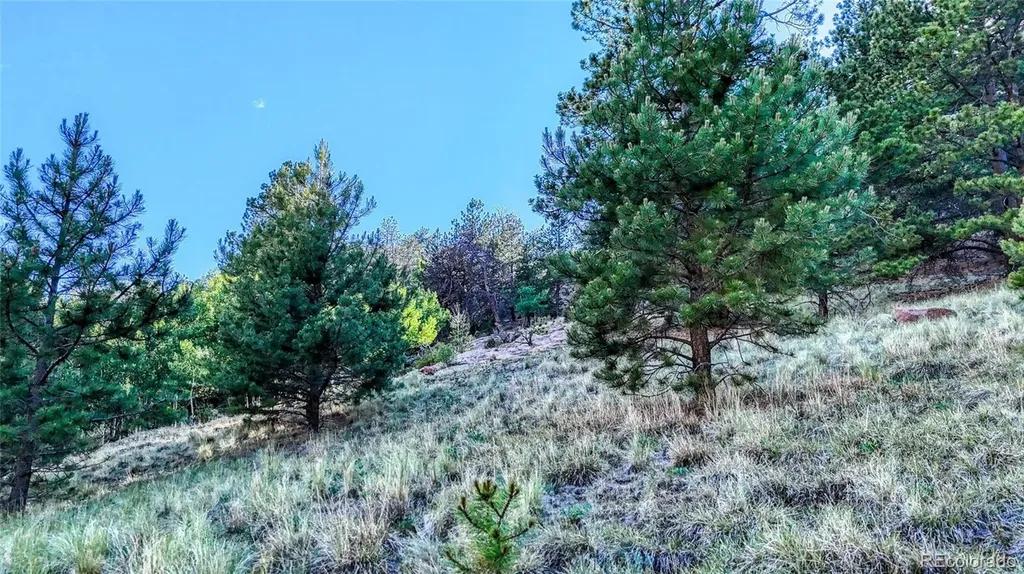 83 Penrose Circle Cripple Creek CO 80813