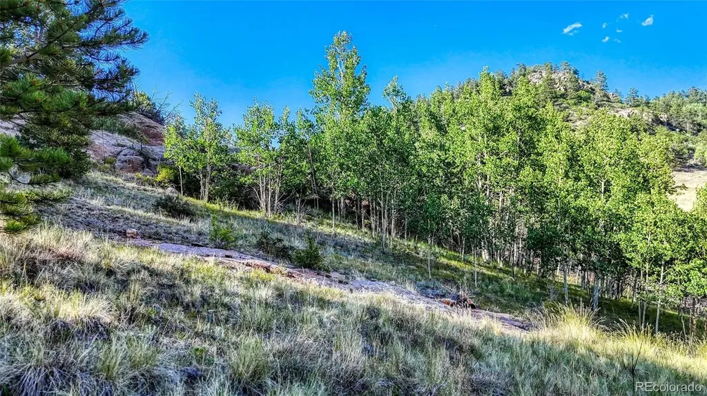 83 Penrose Circle Cripple Creek CO 80813