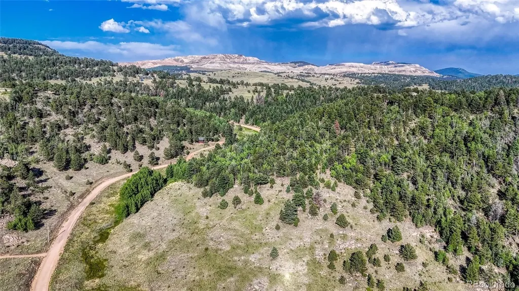 83 Penrose Circle Cripple Creek CO 80813