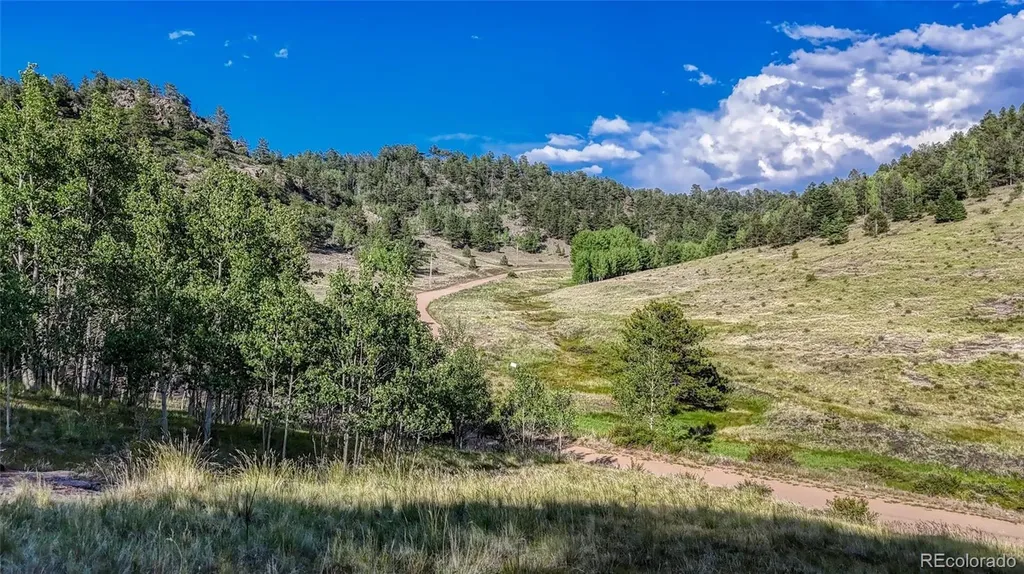 83 Penrose Circle Cripple Creek CO 80813