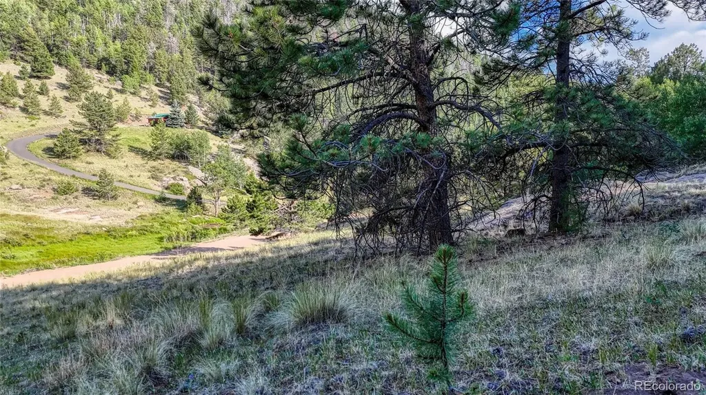 83 Penrose Circle Cripple Creek CO 80813