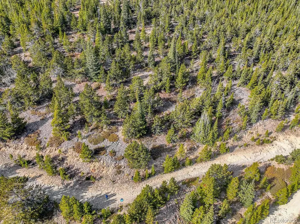 Lot 530 Hilltop Road Idaho Springs CO 80452