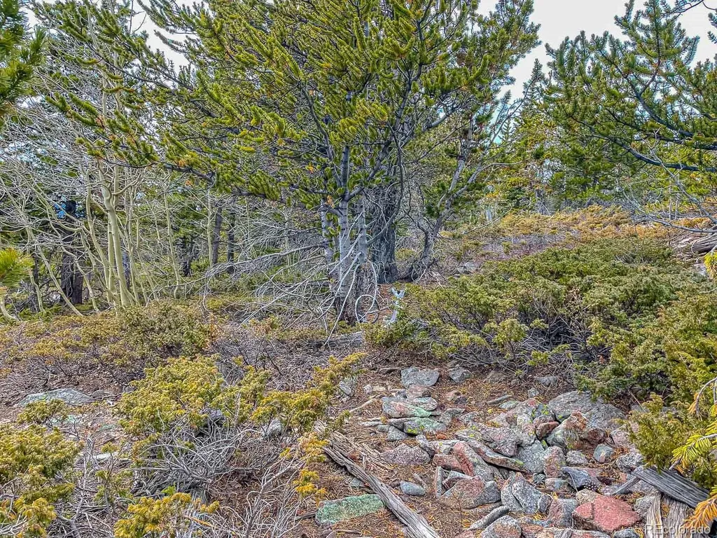 Lot 530 Hilltop Road Idaho Springs CO 80452