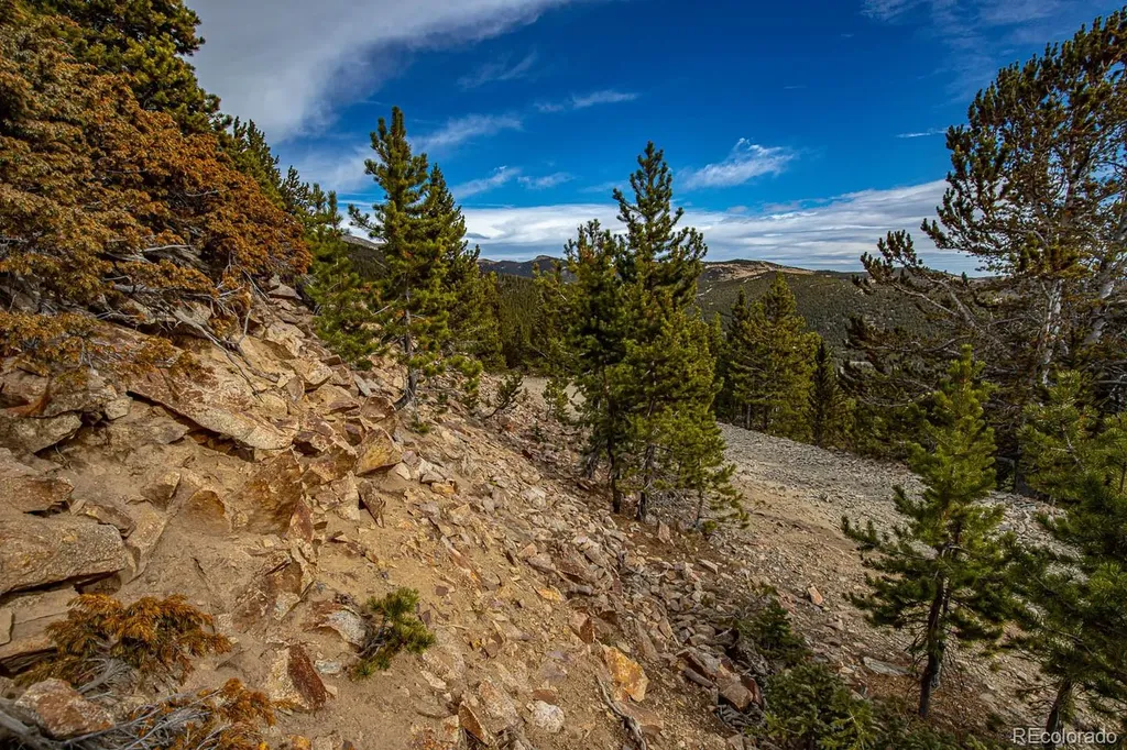 Lot 530 Hilltop Road Idaho Springs CO 80452