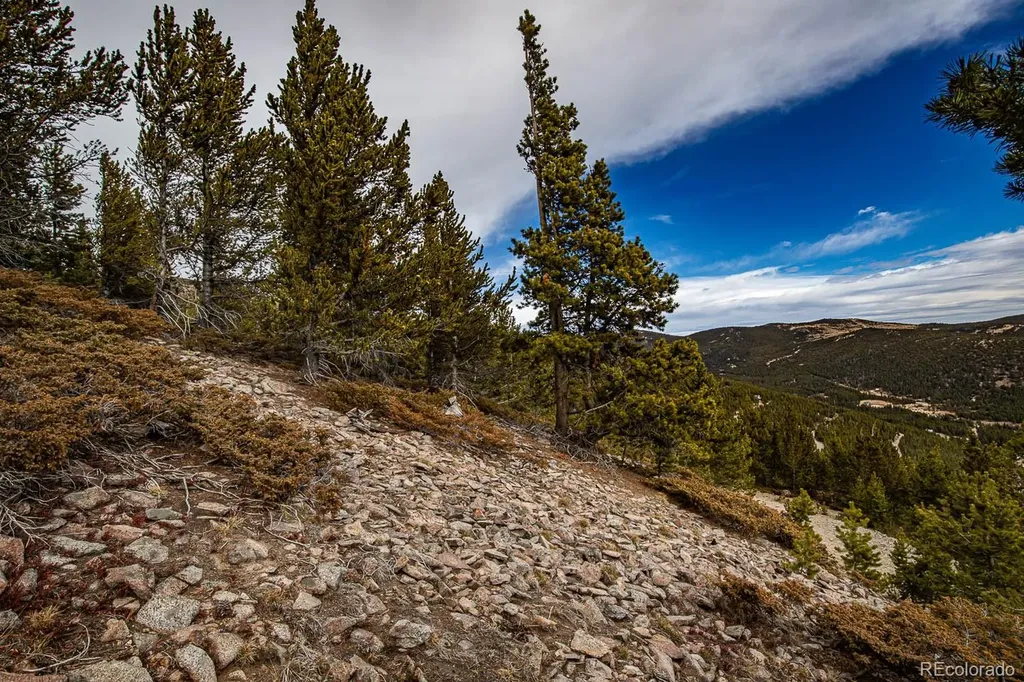 Lot 530 Hilltop Road Idaho Springs CO 80452