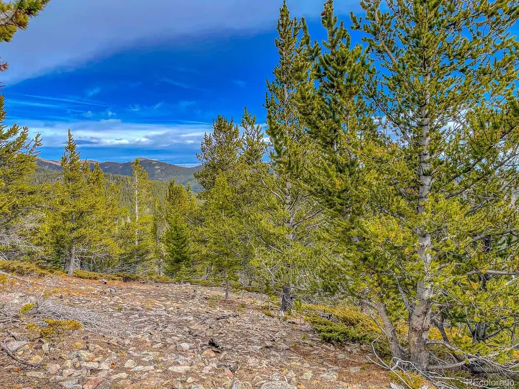 Lot 530 Hilltop Road Idaho Springs CO 80452
