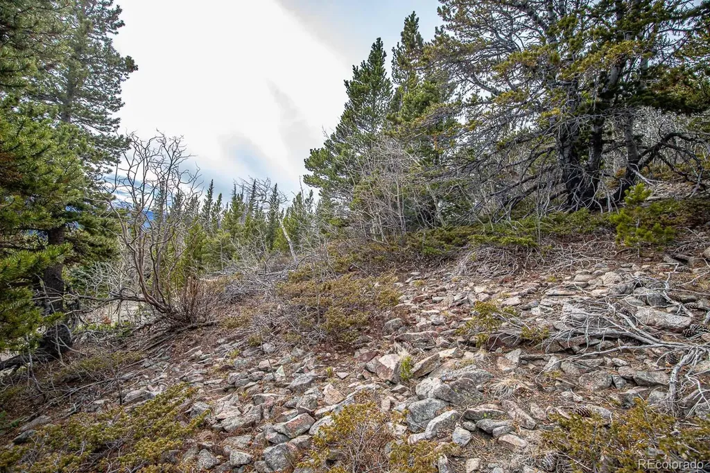 Lot 530 Hilltop Road Idaho Springs CO 80452