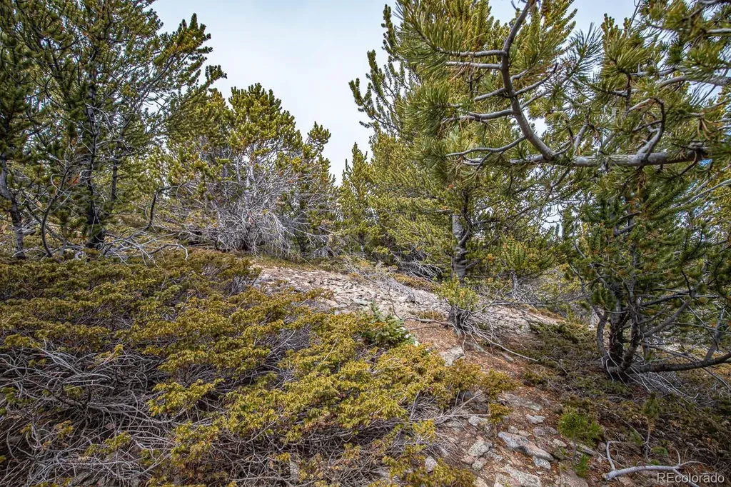 Lot 530 Hilltop Road Idaho Springs CO 80452