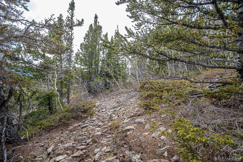 Lot 530 Hilltop Road Idaho Springs CO 80452