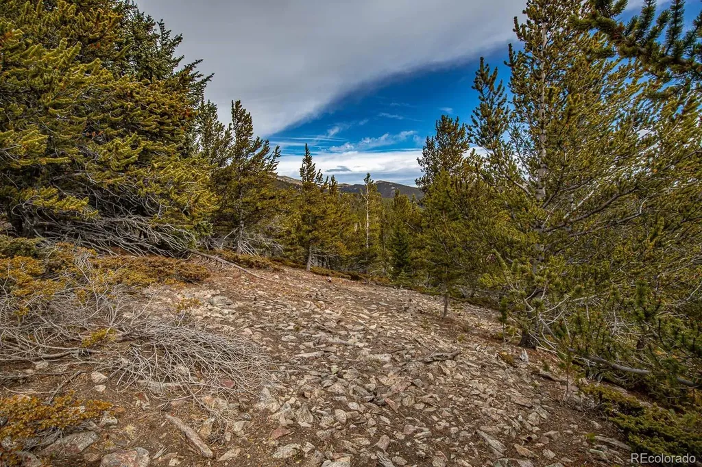 Lot 530 Hilltop Road Idaho Springs CO 80452