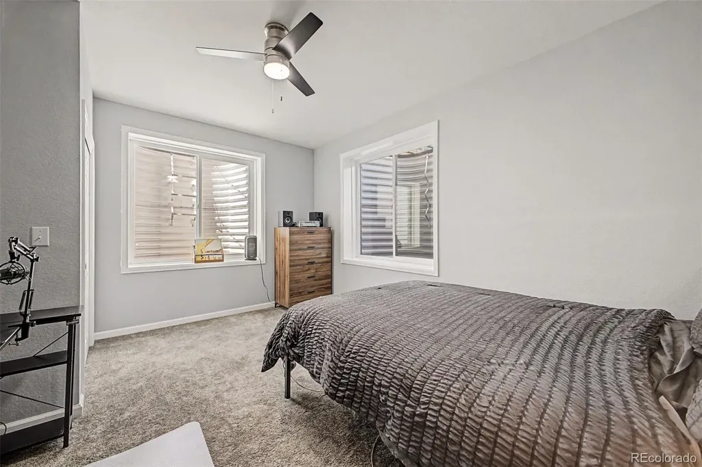 1115 Lucky Court Castle Rock CO 80109
