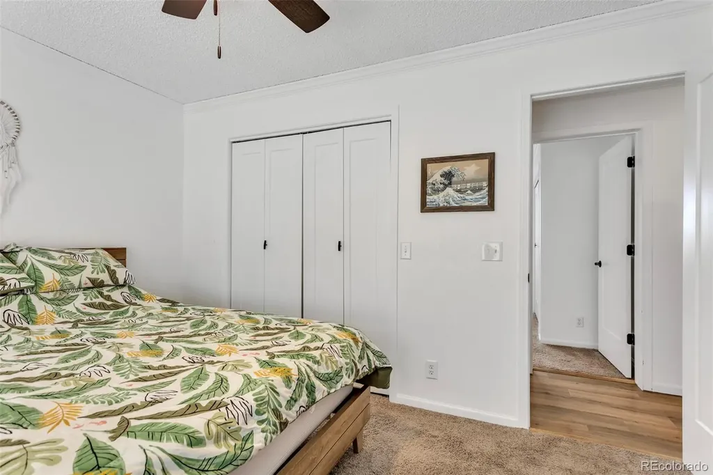 255 Divide View Drive Golden CO 80403