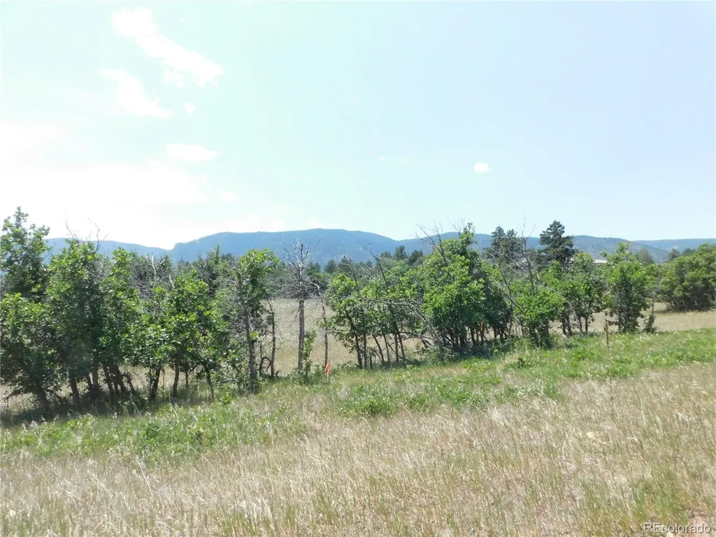 5980 Country Club Drive Larkspur CO 80118