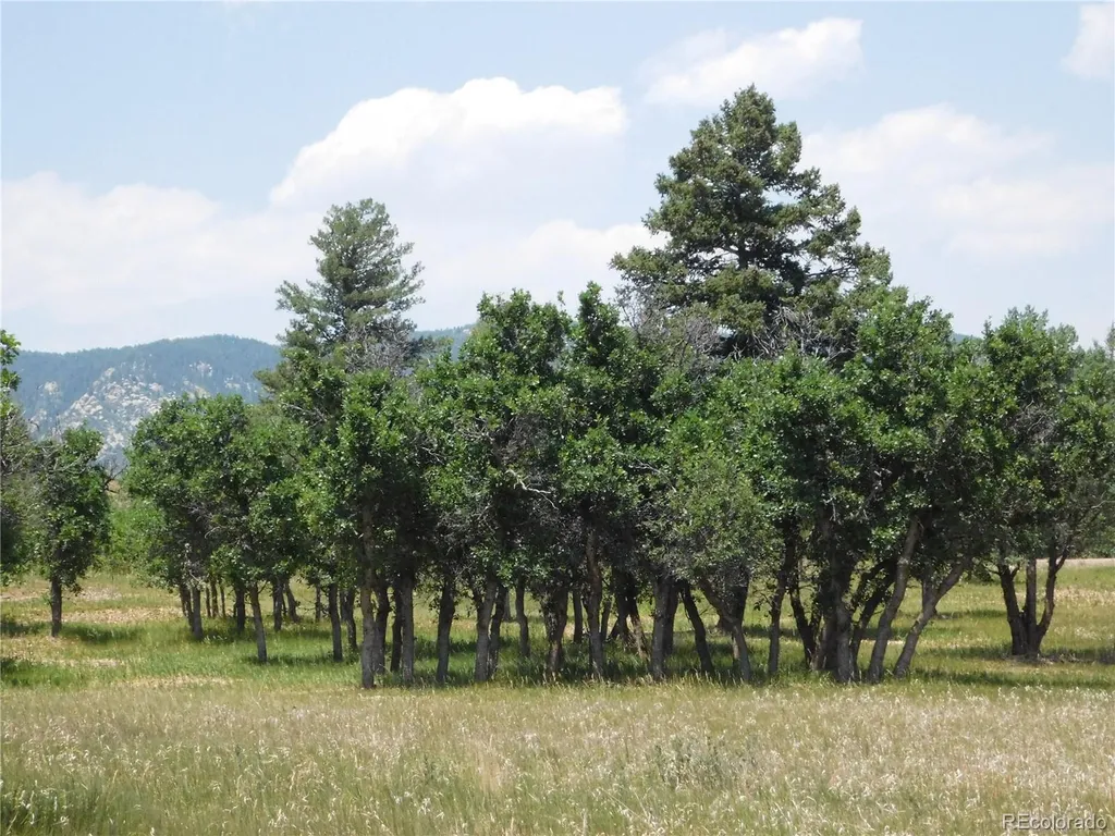 5980 Country Club Drive Larkspur CO 80118