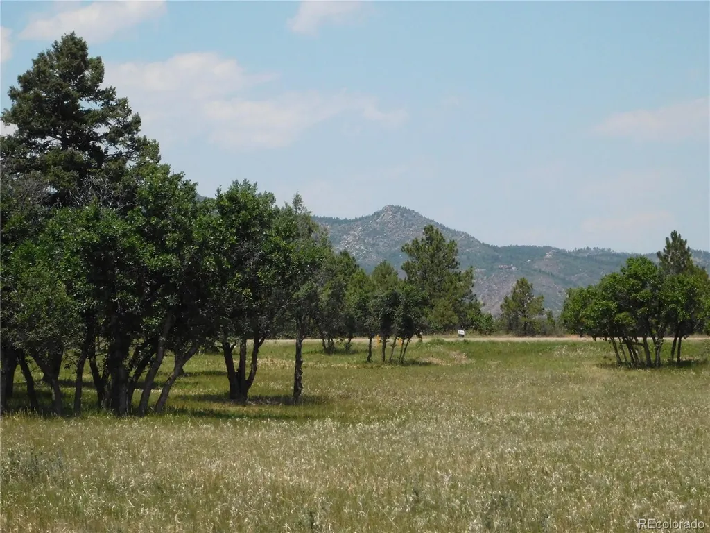 5980 Country Club Drive Larkspur CO 80118