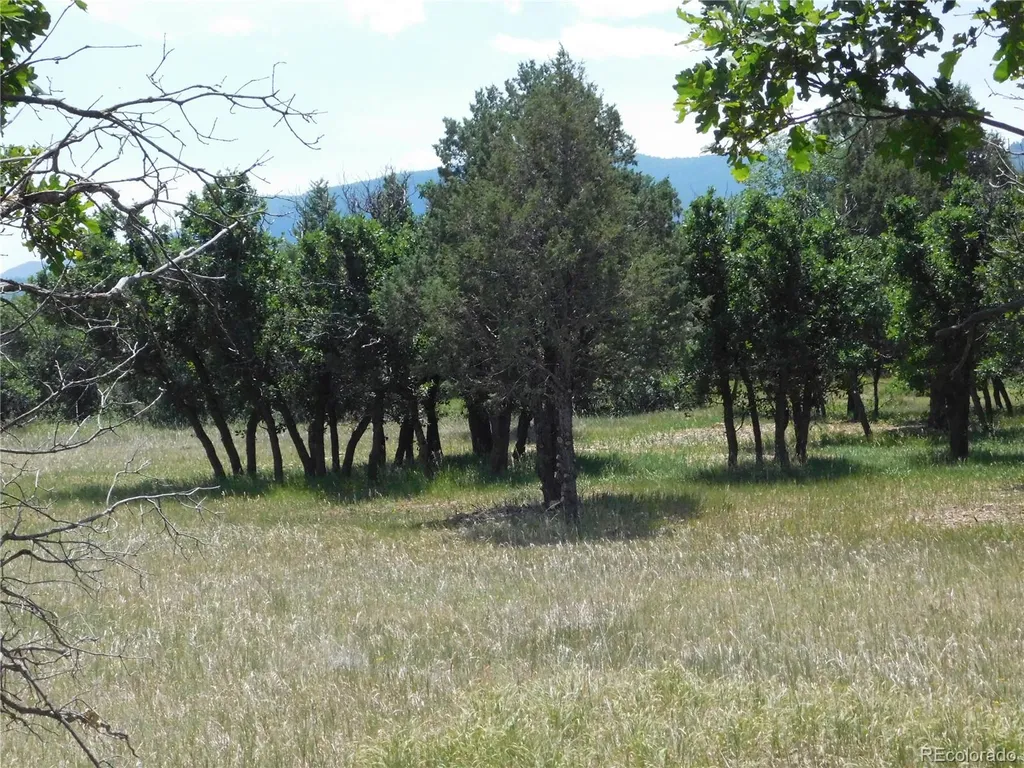 5980 Country Club Drive Larkspur CO 80118