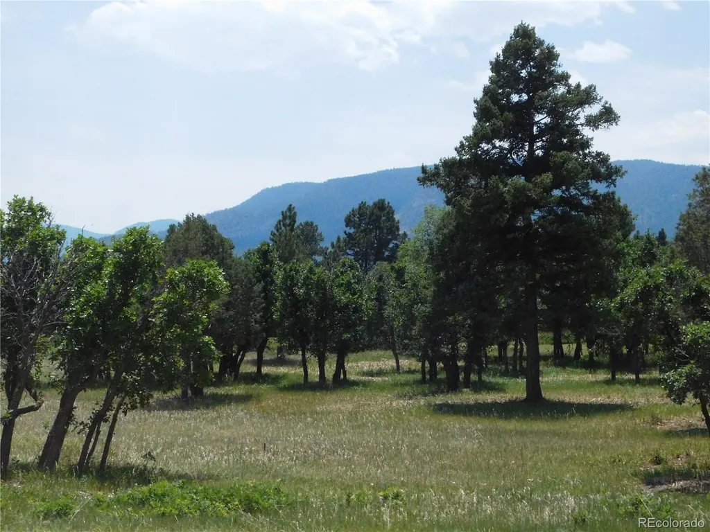 5980 Country Club Drive Larkspur CO 80118