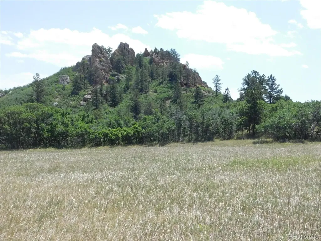 5980 Country Club Drive Larkspur CO 80118