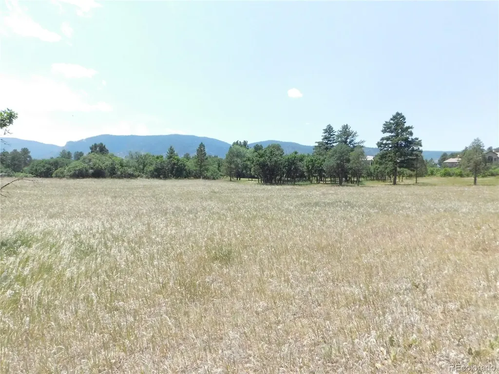 5980 Country Club Drive Larkspur CO 80118