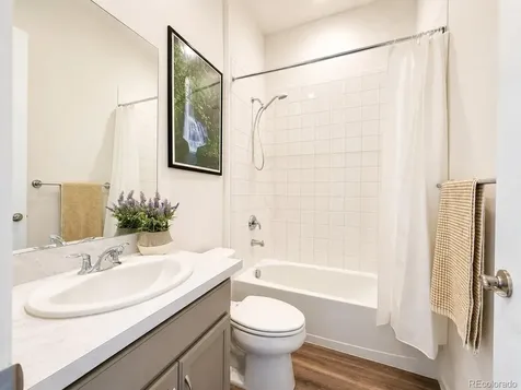 295 Kitselman Drive Castle Rock CO 80104
